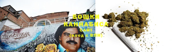 PSILOCYBIN Краснослободск