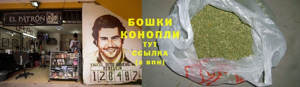 PSILOCYBIN Краснослободск