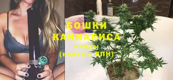 PSILOCYBIN Краснослободск