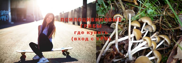 PSILOCYBIN Краснослободск